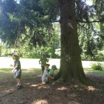 phoca_thumb_m_ic zmeck 13 Fotogalerie